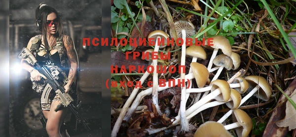 MDMA Протвино