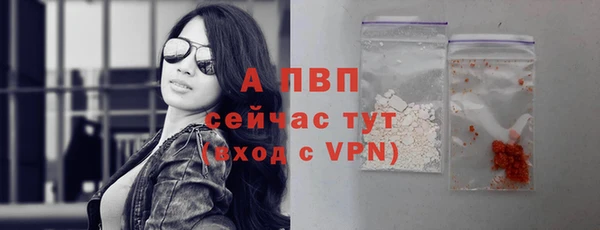 ECSTASY Покров