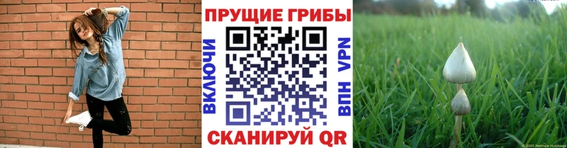 ОМГ ОМГ маркетплейс Тарко-Сале Галлюциногенные грибы мухоморы